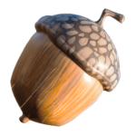 Acorn